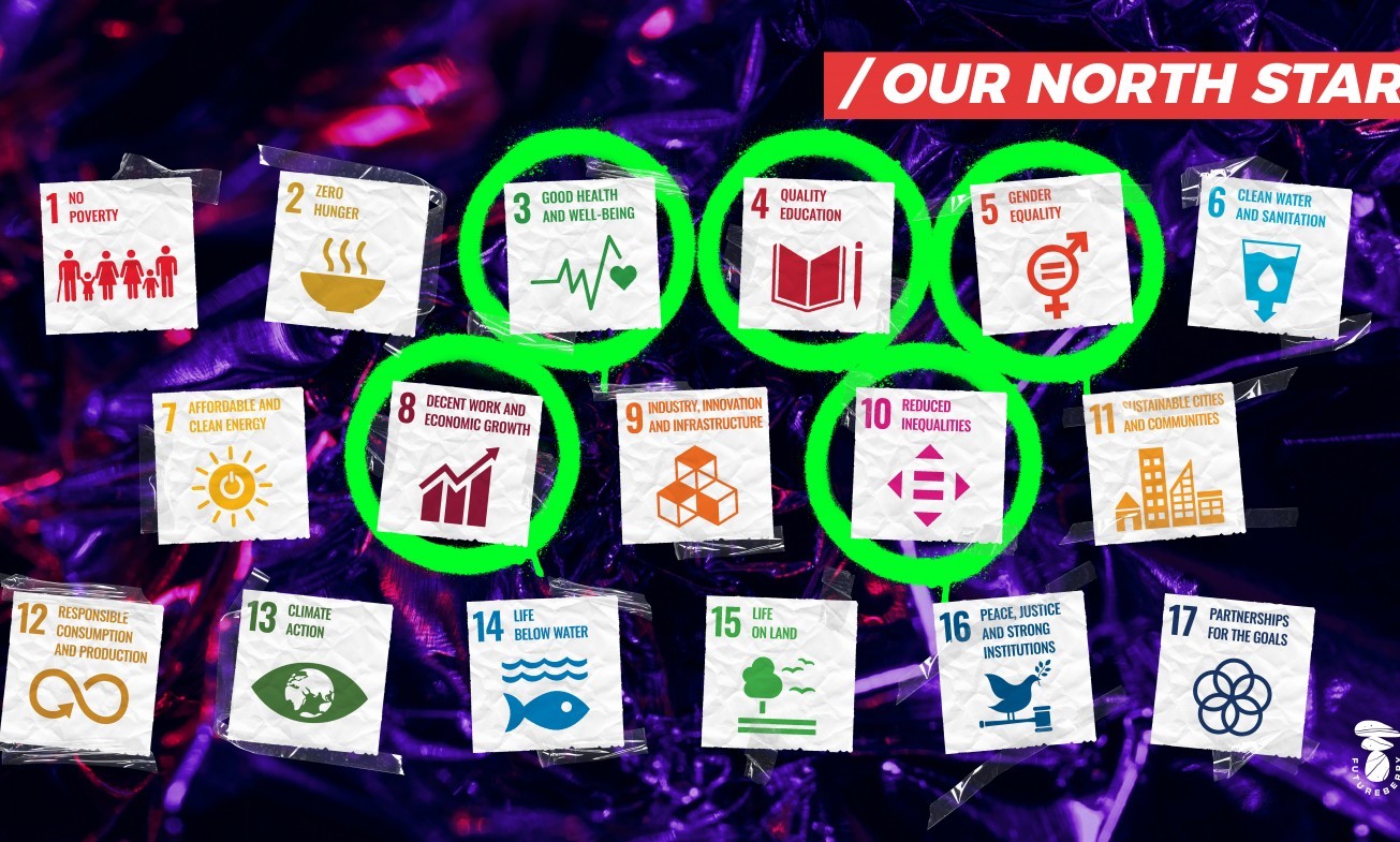 Sustainable Development Goals applied to organizations